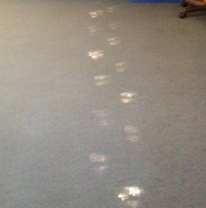 Mysteriously small footprints leading to the final clue